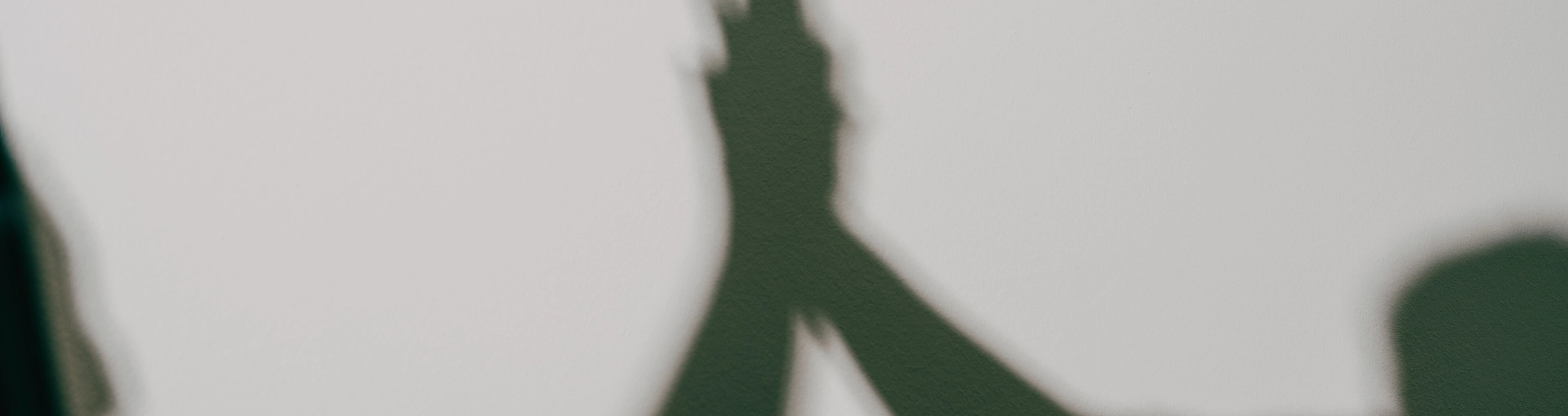 In der Zahnarztpraxis Villa Mundgesund in Bamberg können Zuweiser Hand in Hand mit den Zahnärztinnen Dr. Braun und Dr. Huber arbeiten